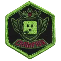 Earning a champion patch from a tournament you are hosting is not okay, you know who you are. The fact that you pull up random games out of your a** just so you can plan them into LANs, just SO YOU CAN WIN THEM OVER AND OVER AGAIN.
